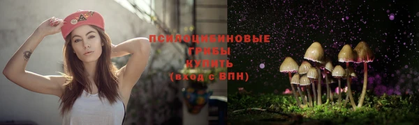 наркотики Горно-Алтайск