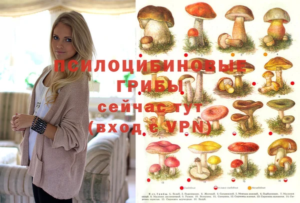 MDMA Premium VHQ Алексеевка