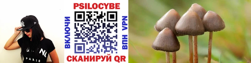 Псилоцибиновые грибы Cubensis цены мега онион Чапаевск
